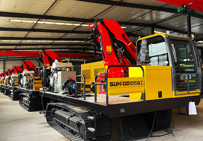 SUHIGO efficiently completed the customized Paywelder project for Russia